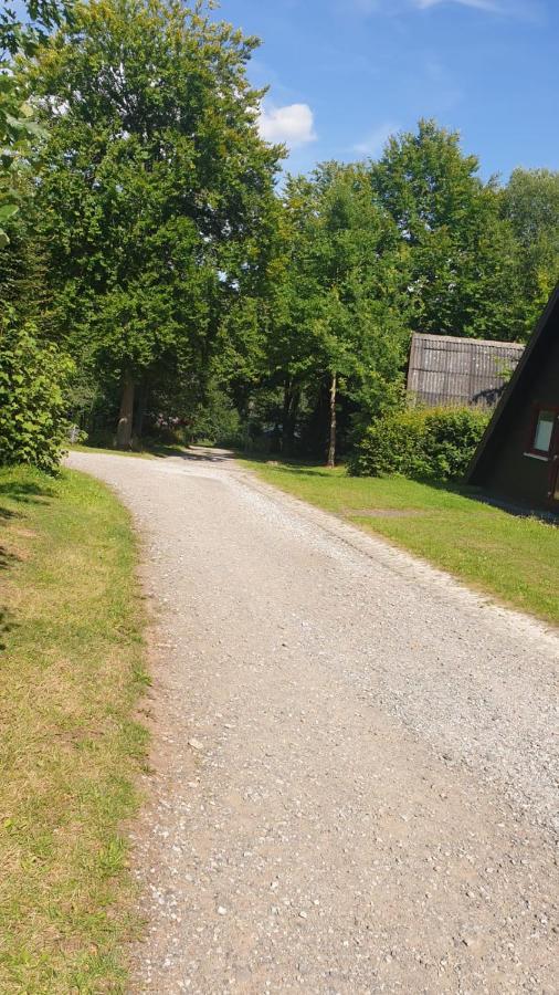 Ferienhaus Nr. 60 Im Ferienpark Am Twistesee Bad Arolsen Bagian luar foto